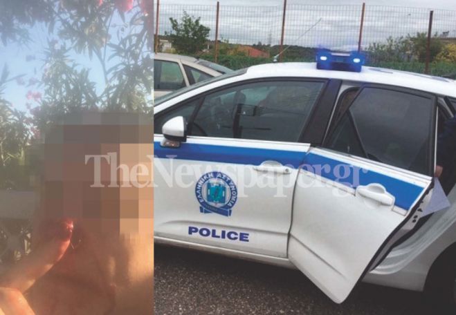 &Sigma;&omicron;&kappa; &sigma;&tau;&omicron; &Pi;ή&lambda;&iota;&omicron; | &Epsilon;&pi;&iota;&tau;έ&theta;&eta;&kappa;&epsilon; &kappa;&alpha;&iota; &delta;ά&gamma;&kappa;&omega;&sigma;&epsilon; &tau;&omicron;&nu; &gamma;&epsilon;ί&tau;&omicron;&nu;ά &tau;&omicron;&upsilon; &ndash; &Sigma;&tau;&omicron; &Nu;&omicron;&sigma;&omicron;&kappa;&omicron;&mu;&epsilon;ί&omicron; έ&nu;&alpha;&sigmaf; ά&nu;&delta;&rho;&alpha;&sigmaf;