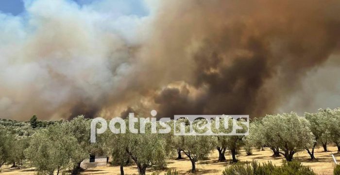 &Mu;&alpha;ί&nu;&omicron;&nu;&tau;&alpha;&iota; &omicron;&iota; &epsilon;&sigma;&tau;ί&epsilon;&sigmaf; &pi;&upsilon;&rho;&kappa;&alpha;&gamma;&iota;ά&sigmaf; &sigma;&tau;&eta;&nu; &Eta;&lambda;&epsilon;ί&alpha;