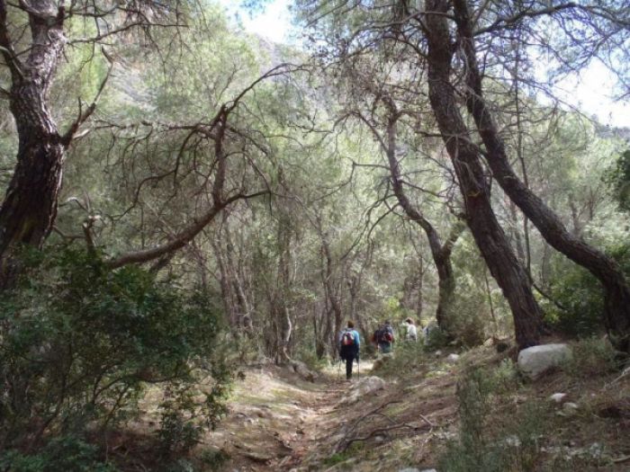 Στο φαράγγι Καταφύκι ο ΕΟΣ Τρίπολης