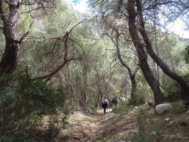 Στο φαράγγι Καταφύκι ο ΕΟΣ Τρίπολης