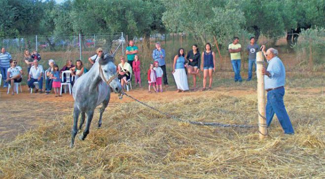 &Alpha;&nu;&alpha;&beta;ί&omega;&sigma;&eta; &tau;&omicron;&upsilon; &alpha;&lambda;&omega;&nu;ί&sigma;&mu;&alpha;&tau;&omicron;&sigmaf; &theta;&alpha; &gamma;ί&nu;&epsilon;&iota; &sigma;&tau;&eta;&nu; &Kappa;&alpha;&rho;ύ&tau;&alpha;&iota;&nu;&alpha;