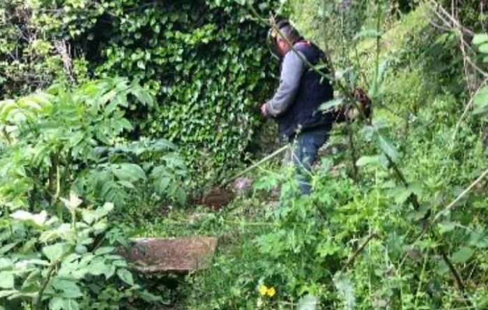 Menalon Trail | Καθαρισμός στο τμήμα Δημητσάνα έως Παλαιοχώρι στο φαράγγι του Λούσιου (εικόνες)