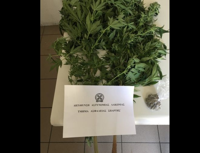 Σύλληψη για ναρκωτικά σε χωριό της Λακωνίας