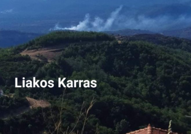 &Alpha;&nu;&alpha;&zeta;&omega;&pi;&upsilon;&rho;ώ&sigma;&epsilon;&iota;&sigmaf; &sigma;&tau;&alpha; &chi;&omega;&rho;&iota;ά &tau;&omicron;&upsilon; &Delta;ή&mu;&omicron;&upsilon; &Mu;&epsilon;&gamma;&alpha;&lambda;ό&pi;&omicron;&lambda;&eta;&sigmaf;