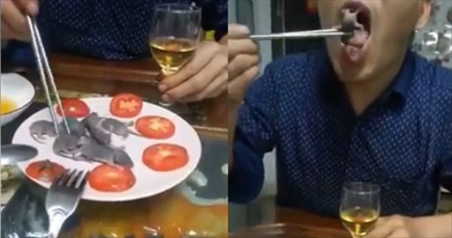 &Nu;έ&omicron; &sigma;&omicron;&kappa; | &Kappa;&iota;&nu;έ&zeta;&omicron;&sigmaf; &tau;&rho;ώ&epsilon;&iota; &zeta;&omega;&nu;&tau;&alpha;&nu;ά &pi;&omicron;&nu;&tau;&iota;&kappa;ά&kappa;&iota;&alpha; &kappa;&alpha;&iota; &pi;&rho;&omicron;&kappa;&alpha;&lambda;&epsilon;ί &omicron;&rho;&gamma;ή (vd)