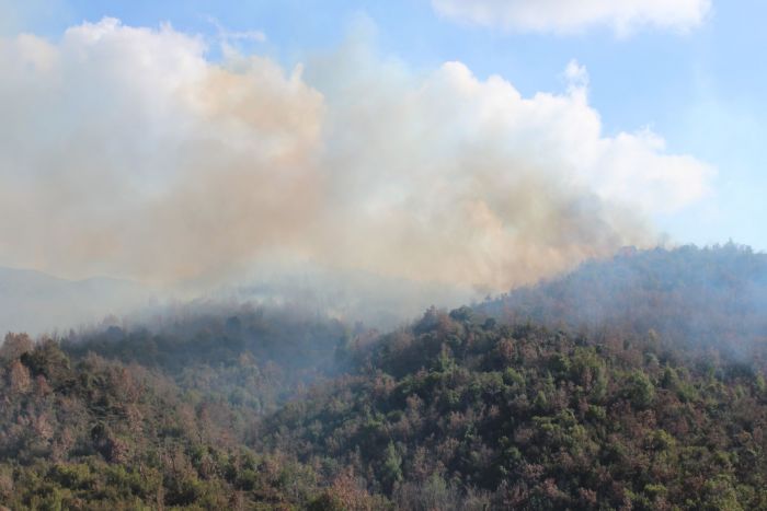 Γυναίκα συνελήφθη για τη φωτιά στο Δερβένι Μεγαλόπολης