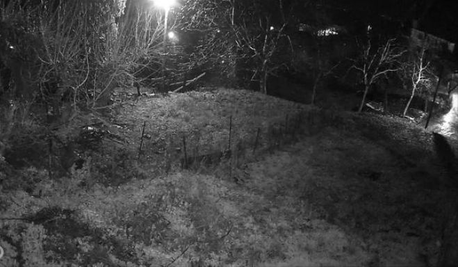 &Pi;&rho;ώ&tau;&omicron; &pi;&alpha;&sigma;&pi;ά&lambda;&iota;&sigma;&mu;&alpha; &chi;&iota;&omicron;&nu;&iota;&omicron;ύ &sigma;&tau;&omicron; &chi;&omega;&rho;&iota;ό &Beta;ά&sigma;&tau;&alpha;