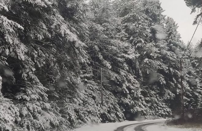 &Tau;&omicron; &chi;&iota;&omicron;&nu;&iota;&sigma;&mu;έ&nu;&omicron; &Mu;&alpha;ί&nu;&alpha;&lambda;&omicron; &mu;έ&sigma;&alpha; &sigma;&tau;&omicron;&nu; &Mu;ά&rho;&tau;&iota;&omicron; - &Delta;&epsilon;ί&tau;&epsilon; &sigma;&eta;&mu;&epsilon;&rho;&iota;&nu;έ&sigmaf; &epsilon;&iota;&kappa;ό&nu;&epsilon;&sigmaf;!