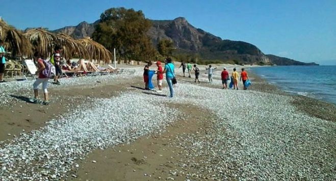 &Epsilon;&theta;&epsilon;&lambda;&omicron;&nu;&tau;&iota;&kappa;ό&sigmaf; &kappa;&alpha;&theta;&alpha;&rho;&iota;&sigma;&mu;ό&sigmaf; &sigma;&tau;&eta;&nu; &pi;&alpha;&rho;&alpha;&lambda;ί&alpha; &laquo;&Pi;ό&rho;&tau;&epsilon;&sigmaf;&raquo;