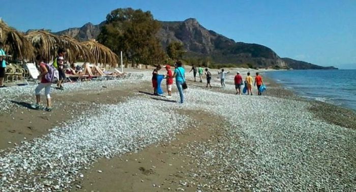 Εθελοντικός καθαρισμός στην παραλία «Πόρτες»