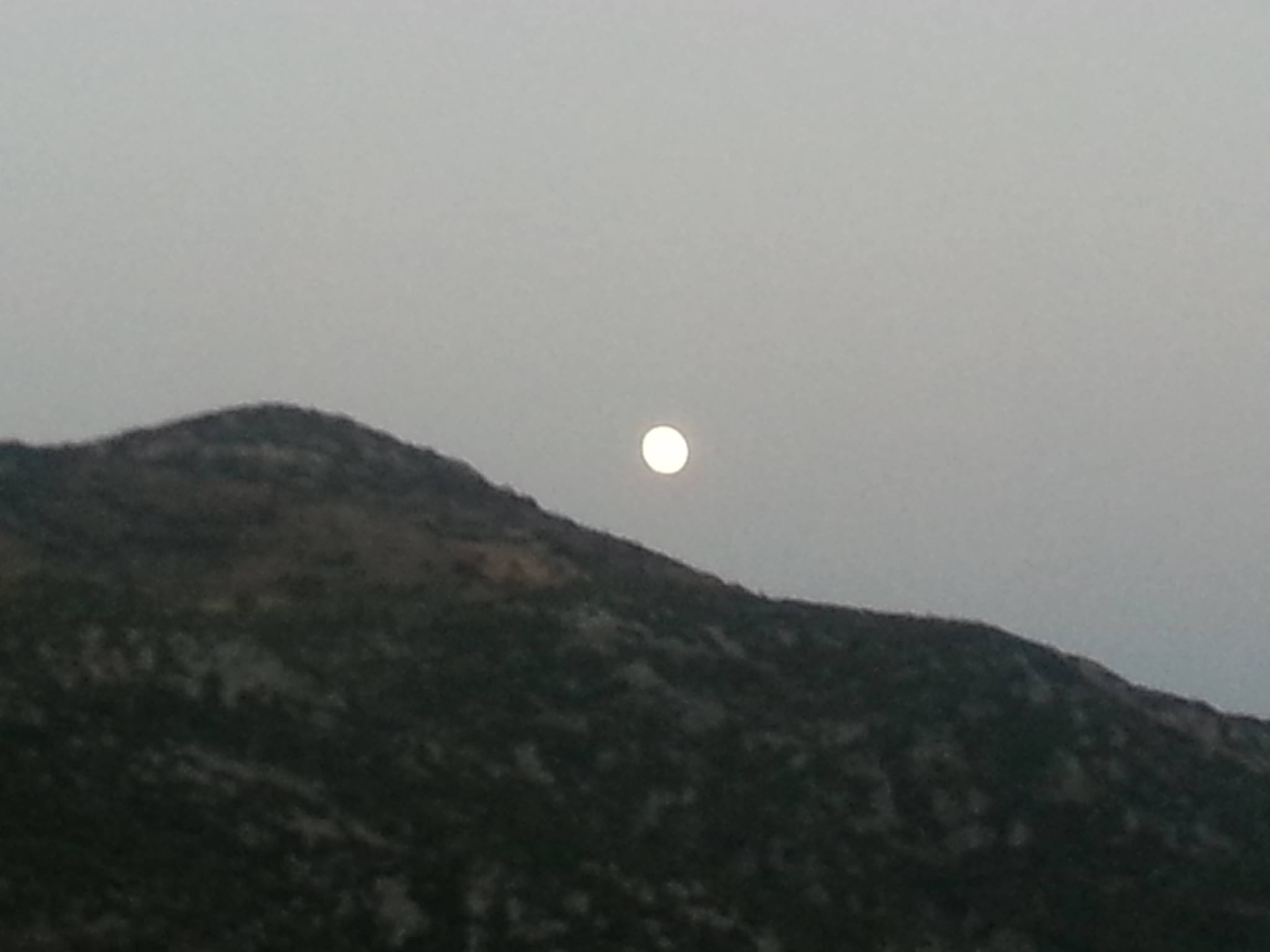 &Eta; &mu;&epsilon;&gamma;&alpha;&lambda;ύ&tau;&epsilon;&rho;&eta; &pi;&rho;&omicron;&sigma;έ&lambda;&epsilon;&upsilon;&sigma;&eta; &kappa;ό&sigma;&mu;&omicron;&upsilon; &pi;&omicron;&upsilon; έ&chi;&epsilon;&iota; &delta;&epsilon;&iota; &pi;&omicron;&tau;έ &tau;&omicron; &chi;&omega;&rho;&iota;ό &sigma;&tau;&eta; &Gamma;&iota;&omicron;&rho;&tau;ή &tau;&eta;&sigmaf; &Pi;&alpha;&nu;&sigma;&epsilon;&lambda;ή&nu;&omicron;&upsilon; &sigma;&tau;&omicron;&nu; &Pi;&lambda;ά&tau;&alpha;&nu;&omicron;!