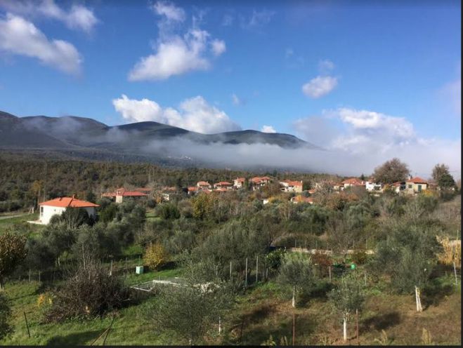 &Omicron;&mu;&alpha;&delta;&iota;&kappa;ή έ&kappa;&theta;&epsilon;&sigma;&eta; &epsilon;&iota;&kappa;&alpha;&sigma;&tau;&iota;&kappa;ώ&nu; &tau;&epsilon;&chi;&nu;ώ&nu; &sigma;&tau;&eta;&nu; &Pi;&omicron;&tau;&alpha;&mu;&iota;ά!