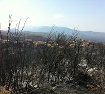 &laquo;&Eta; &delta;&iota;&kappa;&alpha;&iota;&omicron;&sigma;ύ&nu;&eta; ά&mu;&epsilon;&sigma;&alpha; &pi;&rho;έ&pi;&epsilon;&iota; &nu;&alpha; &kappa;&alpha;&tau;&alpha;&lambda;&omicron;&gamma;ί&sigma;&epsilon;&iota; &tau;&upsilon;&chi;ό&nu; &epsilon;&upsilon;&theta;ύ&nu;&epsilon;&sigmaf; &kappa;&alpha;&iota; &nu;&alpha; &tau;&iota;&mu;&omega;&rho;ή&sigma;&epsilon;&iota; &pi;&alpha;&rho;&alpha;&delta;&epsilon;&iota;&gamma;&mu;&alpha;&tau;&iota;&kappa;ά &tau;&upsilon;&chi;ό&nu; &upsilon;&pi;&alpha;ί&tau;&iota;&omicron;&upsilon;&sigmaf;&raquo;