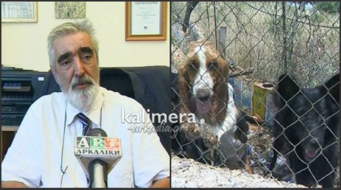 &Kappa;&omicron;&upsilon;&mu;&alpha;&rho;έ&lambda;&alpha;&sigmaf;: &laquo;&Pi;ά&nu;&omega; &alpha;&pi;ό 500 &alpha;&delta;έ&sigma;&pi;&omicron;&tau;&alpha; &upsilon;&pi;ά&rho;&chi;&omicron;&upsilon;&nu; &sigma;&tau;&omicron;&nu; &delta;ή&mu;&omicron; &Tau;&rho;ί&pi;&omicron;&lambda;&eta;&sigmaf;&raquo;! (vd)