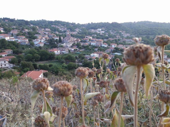&Kappa;&alpha;&lambda;&omicron;&kappa;&alpha;ί&rho;&iota; &sigma;&tau;&eta; &Beta;&lambda;&alpha;&chi;&omicron;&kappa;&epsilon;&rho;&alpha;&sigma;&iota;ά - &Upsilon;&pi;έ&rho;&omicron;&chi;&epsilon;&sigmaf; &epsilon;&iota;&kappa;ό&nu;&epsilon;&sigmaf;!