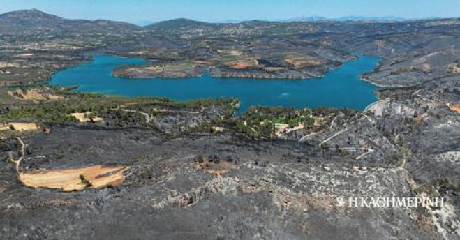 &Eta; &Alpha;&tau;&tau;&iota;&kappa;ή έ&chi;&alpha;&sigma;&epsilon; &tau;&omicron; 1/3 &tau;&omega;&nu; &delta;&alpha;&sigma;ώ&nu; &tau;&eta;&sigmaf; &tau;&eta;&nu; &tau;&epsilon;&lambda;&epsilon;&upsilon;&tau;&alpha;ί&alpha; &omicron;&kappa;&tau;&alpha;&epsilon;&tau;ί&alpha;