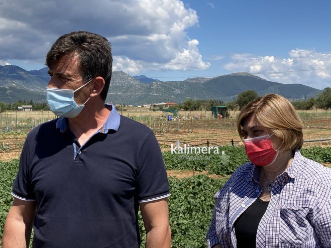 &Delta;&eta;&mu;&omicron;&tau;&iota;&kappa;ό&sigmaf; &Lambda;&alpha;&chi;&alpha;&nu;ό&kappa;&eta;&pi;&omicron;&sigmaf; ... &gamma;&iota;&alpha; 9&eta; &chi;&rho;&omicron;&nu;&iota;ά &sigma;&tau;&eta;&nu; &Tau;&rho;ί&pi;&omicron;&lambda;&eta;! (vd)