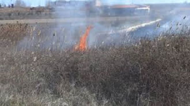 &Phi;&omega;&tau;&iota;ά &mu;&epsilon;&tau;&alpha;&xi;ύ &Beta;&lambda;&alpha;&chi;&omicron;&kappa;&epsilon;&rho;&alpha;&sigma;&iota;ά&sigmaf; &kappa;&alpha;&iota; &Mu;ά&nu;&alpha;&rho;&eta;