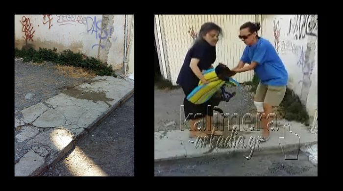 Βίντεο – σοκ με δηλητηριασμένο σκυλί να σπαρταράει σε δρόμο της Τρίπολης (vd)