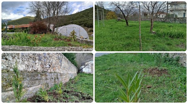 Ειδικό Σχολείο Μαντινείας | Δένδρα και φυτά στον περιβάλλοντα χώρο του σχολείου - Ευχαριστίες σε Τρουπή