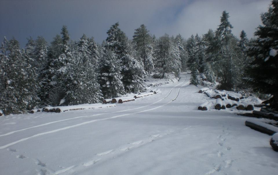 &Omicron;&iota; &pi;&rho;ώ&tau;&epsilon;&sigmaf; &phi;&omega;&tau;&omicron;&gamma;&rho;&alpha;&phi;ί&epsilon;&sigmaf; &alpha;&pi;ό &tau;&omicron;&nu; &chi;&iota;&omicron;&nu;&iota;&sigma;&mu;έ&nu;&omicron; &Pi;ά&rho;&nu;&omega;&nu;&alpha;!