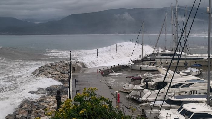 &Kappa;&alpha;&kappa;&omicron;&kappa;&alpha;&iota;&rho;ί&alpha; | Έ&kappa;&tau;&alpha;&kappa;&tau;&eta; &alpha;&nu;&alpha;&kappa;&omicron;ί&nu;&omega;&sigma;&eta; &alpha;&pi;ό &tau;&omicron; &Lambda;&iota;&mu;&epsilon;&nu;&iota;&kappa;ό &Tau;&alpha;&mu;&epsilon;ί&omicron; &Beta;ό&rho;&epsilon;&iota;&alpha;&sigmaf; &Kappa;&upsilon;&nu;&omicron;&upsilon;&rho;ί&alpha;&sigmaf; &gamma;&iota;&alpha; &tau;&omicron;&upsilon;&sigmaf; &iota;&delta;&iota;ό&kappa;&tau;&eta;&tau;&epsilon;&sigmaf; &sigma;&kappa;&alpha;&phi;ώ&nu;