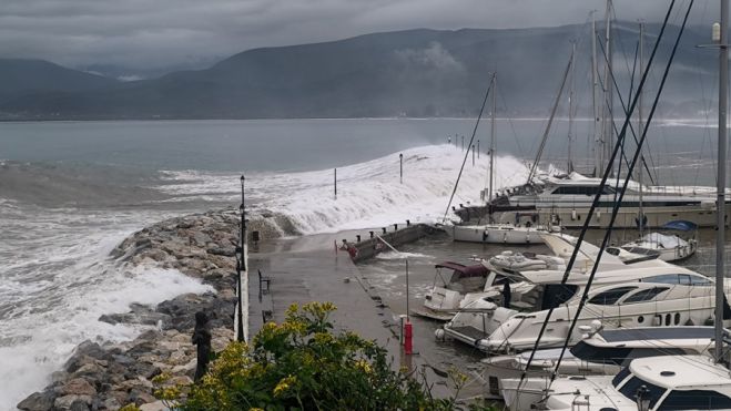 &Kappa;&alpha;&kappa;&omicron;&kappa;&alpha;&iota;&rho;ί&alpha; | Έ&kappa;&tau;&alpha;&kappa;&tau;&eta; &alpha;&nu;&alpha;&kappa;&omicron;ί&nu;&omega;&sigma;&eta; &alpha;&pi;ό &tau;&omicron; &Lambda;&iota;&mu;&epsilon;&nu;&iota;&kappa;ό &Tau;&alpha;&mu;&epsilon;ί&omicron; &Beta;ό&rho;&epsilon;&iota;&alpha;&sigmaf; &Kappa;&upsilon;&nu;&omicron;&upsilon;&rho;ί&alpha;&sigmaf; &gamma;&iota;&alpha; &tau;&omicron;&upsilon;&sigmaf; &iota;&delta;&iota;ό&kappa;&tau;&eta;&tau;&epsilon;&sigmaf; &sigma;&kappa;&alpha;&phi;ώ&nu;