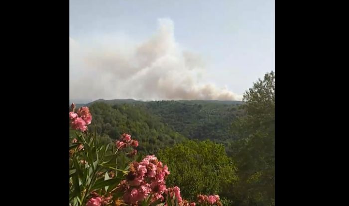 &quot;Παναγία μου, καιγόμαστε. Που πήγε το αεροπλάνο;&quot; (vd)