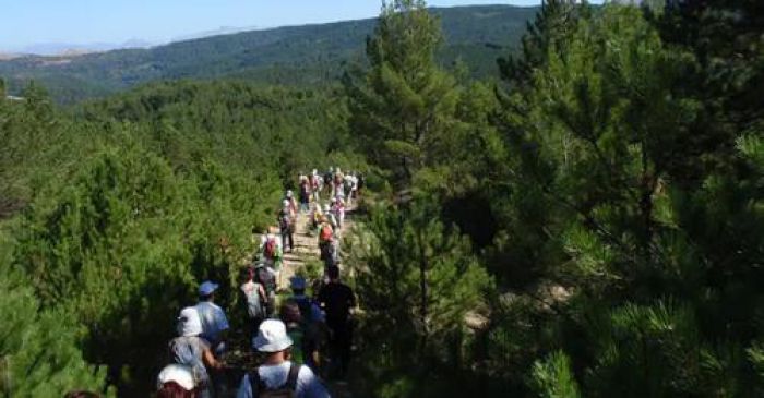 ΣΑΟΟ | Εκδήλωση - πορεία στο δάσος της Σκιρίτιδας