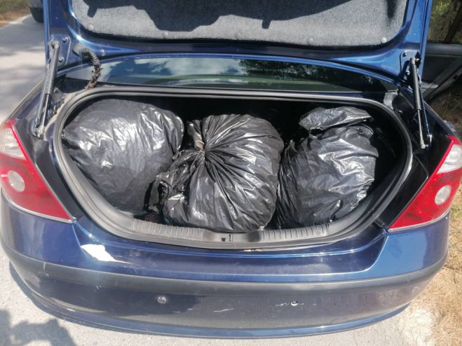 &Pi;ά&nu;&omega; &alpha;&pi;ό 23 &kappa;&iota;&lambda;ά &kappa;ά&nu;&nu;&alpha;&beta;&eta;&sigmaf; &kappa;&alpha;&tau;ά&sigma;&chi;&epsilon;&sigma;&epsilon; &eta; &Alpha;&sigma;&phi;ά&lambda;&epsilon;&iota;&alpha; &Tau;&rho;ί&pi;&omicron;&lambda;&eta;&sigmaf; - &Tau;έ&sigma;&sigma;&epsilon;&rho;&iota;&sigmaf; &sigma;&upsilon;&lambda;&lambda;ή&psi;&epsilon;&iota;&sigmaf; &sigma;&epsilon; &Alpha;&rho;&kappa;&alpha;&delta;ί&alpha; &kappa;&alpha;&iota; &Pi;&epsilon;&rho;&iota;&sigma;&tau;έ&rho;&iota;!