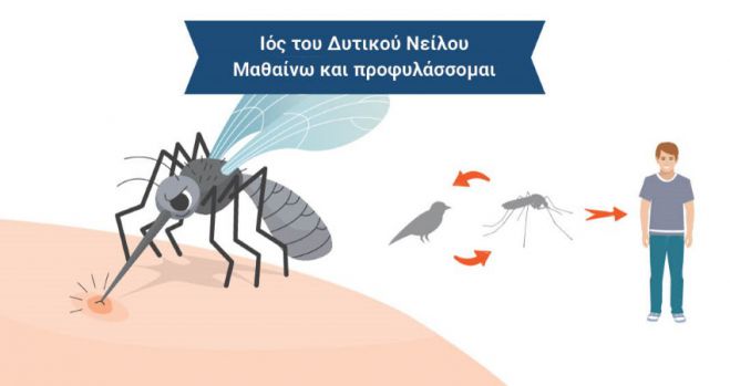 &Iota;ό&sigmaf; &tau;&omicron;&upsilon; &Delta;&upsilon;&tau;&iota;&kappa;&omicron;ύ &Nu;&epsilon;ί&lambda;&omicron;&upsilon; | 10 &kappa;&rho;&omicron;ύ&sigma;&mu;&alpha;&tau;&alpha; &kappa;&alpha;&iota; έ&nu;&alpha;&sigmaf; &theta;ά&nu;&alpha;&tau;&omicron;&sigmaf; &sigma;&tau;&eta;&nu; &Epsilon;&lambda;&lambda;ά&delta;&alpha;