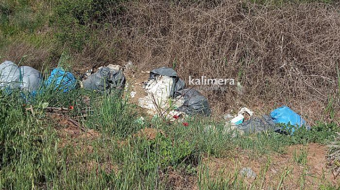&Kappa;&alpha;&tau;&alpha;&gamma;&gamma;&epsilon;&lambda;ί&alpha; &alpha;&nu;&alpha;&gamma;&nu;ώ&sigma;&tau;&rho;&iota;&alpha;&sigmaf;: "&Pi;&epsilon;&tau;ά&mu;&epsilon; &pi;&lambda;&alpha;&sigma;&tau;&iota;&kappa;έ&sigmaf; &sigma;&alpha;&kappa;&omicron;ύ&lambda;&epsilon;&sigmaf; &alpha;&pi;&omicron;&rho;&rho;&iota;&mu;&mu;ά&tau;&omega;&nu; &delta;ί&pi;&lambda;&alpha; &sigma;&tau;&eta; &nu;έ&alpha; &epsilon;&theta;&nu;&iota;&kappa;ή &omicron;&delta;ό" (&epsilon;&iota;&kappa;ό&nu;&epsilon;&sigmaf;)