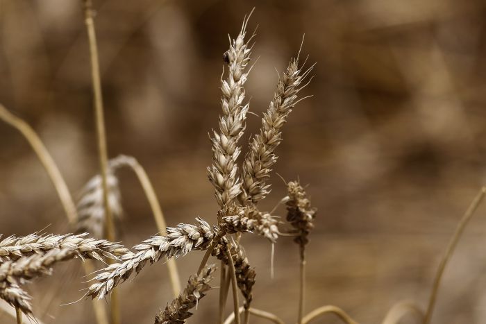 Παρέμβαση από το Επιμελητήριο Αρκαδίας | Ανέφικτος ο τρόπος καταγραφής αποθεμάτων