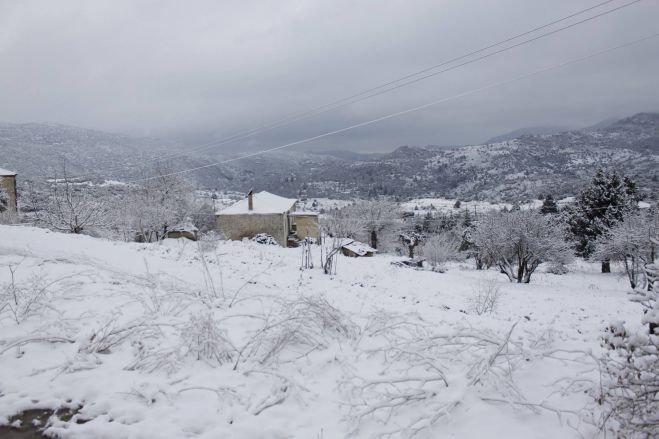 Ό&lambda;&alpha; &lambda;&epsilon;&upsilon;&kappa;ά &sigma;&tau;&omicron;&nu; Ά&gamma;&iota;&omicron; &Beta;&alpha;&sigma;ί&lambda;&epsilon;&iota;&omicron; &Nu;ό&tau;&iota;&alpha;&sigmaf; &Kappa;&upsilon;&nu;&omicron;&upsilon;&rho;ί&alpha;&sigmaf; (&epsilon;&iota;&kappa;ό&nu;&epsilon;&sigmaf;)