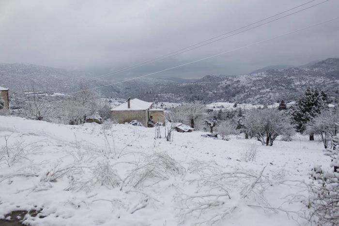 Όλα λευκά στον Άγιο Βασίλειο Νότιας Κυνουρίας (εικόνες)