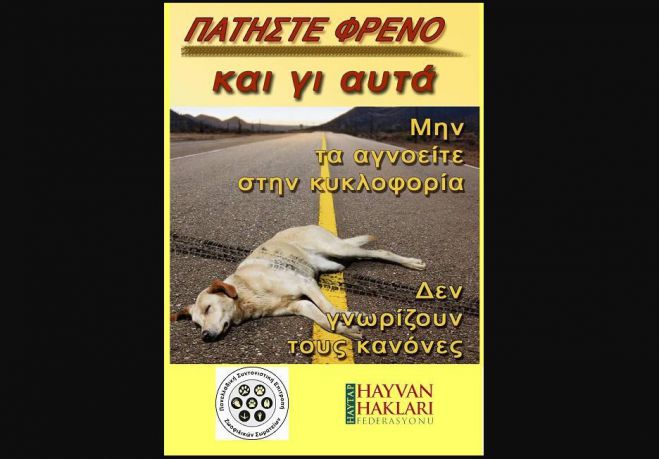 Ζώα στους δρόμους | &quot;Οδηγούμε με συνείδηση και πατάμε φρένο!&quot;