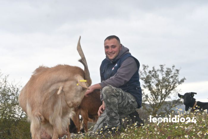 &Sigma;&tau;&eta; &Beta;&alpha;&sigma;&kappa;ί&nu;&alpha; &Kappa;&upsilon;&nu;&omicron;&upsilon;&rho;ί&alpha;&sigmaf; &delta;ύ&omicron; &nu;έ&alpha; &pi;&alpha;&iota;&delta;&iota;ά &kappa;&rho;&alpha;&tau;&omicron;ύ&nu; &zeta;&omega;&nu;&tau;&alpha;&nu;ή &tau;&eta;&nu; &kappa;&tau;&eta;&nu;&omicron;&tau;&rho;&omicron;&phi;ί&alpha; &ndash; &Omicron; &Pi;&alpha;&nu;&alpha;&gamma;&iota;ώ&tau;&eta;&sigmaf; &Lambda;ά&tau;&sigma;&eta;&sigmaf; &mu;&iota;&lambda;ά &sigma;&tau;&eta;&nu; &kappa;ά&mu;&epsilon;&rho;&alpha; &tau;&omicron;&upsilon; Leonidio24 (vd)