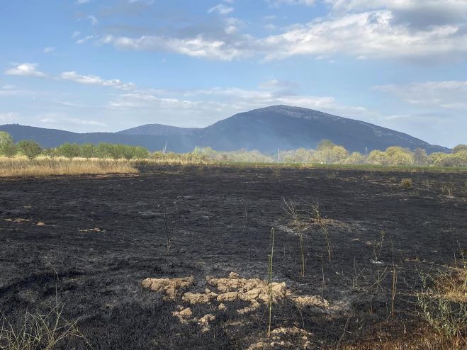 Υπό έλεγχο η πυρκαγιά στην Γαρέα Τεγέας (εικόνες)
