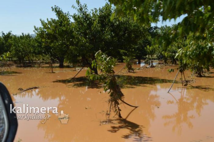 &Mu;&epsilon;&tau;ά &tau;&eta; &theta;&epsilon;&omicron;&mu;&eta;&nu;ί&alpha;, &tau;&alpha; &laquo;&mu;&pi;&omicron;&upsilon;&rho;ί&nu;&iota;&alpha;&raquo; &delta;&omicron;&kappa;&iota;&mu;ά&zeta;&omicron;&upsilon;&nu; &xi;&alpha;&nu;ά &pi;&epsilon;&rho;&iota;&omicron;&chi;έ&sigmaf; &tau;&omicron;&upsilon; &Delta;ή&mu;&omicron;&upsilon; &Tau;&rho;ί&pi;&omicron;&lambda;&eta;&sigmaf;&hellip;