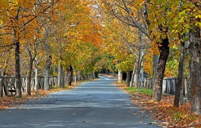&Chi;&epsilon;&iota;&mu;ώ&nu;&alpha;&sigmaf; &sigma;&eta;&mu;&alpha;ί&nu;&epsilon;&iota; &beta;&alpha;&lambda;ί&tau;&sigma;&epsilon;&sigmaf; &gamma;&iota;&alpha; &Beta;&upsilon;&tau;ί&nu;&alpha;