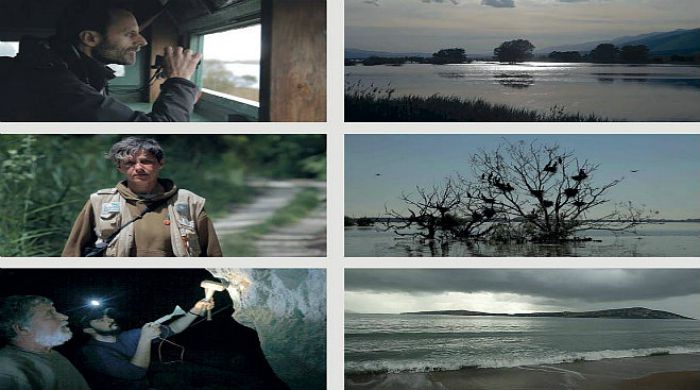 &laquo;&Sigma;&tau;&eta; &phi;&omega;&lambda;&iota;ά &tau;&omicron;&upsilon; &chi;&rho;ό&nu;&omicron;&upsilon;&raquo; - &Eta; &nu;έ&alpha; &tau;&alpha;&iota;&nu;ί&alpha; &tau;&omicron;&upsilon; &Alpha;&rho;&kappa;ά&delta;&alpha; &sigma;&kappa;&eta;&nu;&omicron;&theta;έ&tau;&eta;, &Alpha;&lambda;έ&xi;&alpha;&nu;&delta;&rho;&omicron;&upsilon; &Pi;&alpha;&pi;&alpha;&eta;&lambda;ί&omicron;&upsilon; (vd)