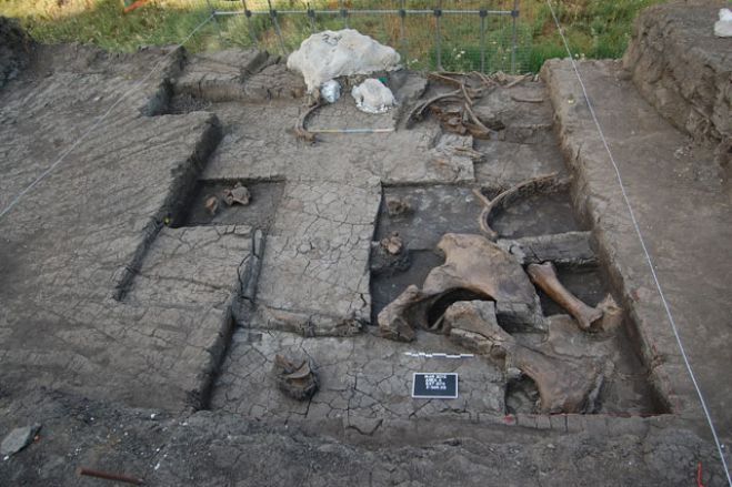 Σημαντικά παλαιολιθικά ευρήματα ... έβγαλαν οι ανασκαφές στη Μεγαλόπολη! (εικόνες)