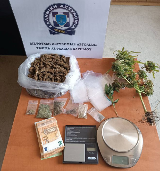 &Alpha;&sigma;&tau;&upsilon;&nu;&omicron;&mu;&iota;&kappa;ό&sigmaf; &sigma;&kappa;ύ&lambda;&omicron;&sigmaf; &epsilon;&nu;&tau;ό&pi;&iota;&sigma;&epsilon; &tau;&eta;&nu; &kappa;ά&nu;&nu;&alpha;&beta;&eta; &sigma;&epsilon; &sigma;&pi;ί&tau;&iota; &sigma;&tau;&omicron; &Kappa;&rho;&alpha;&nu;ί&delta;&iota;!