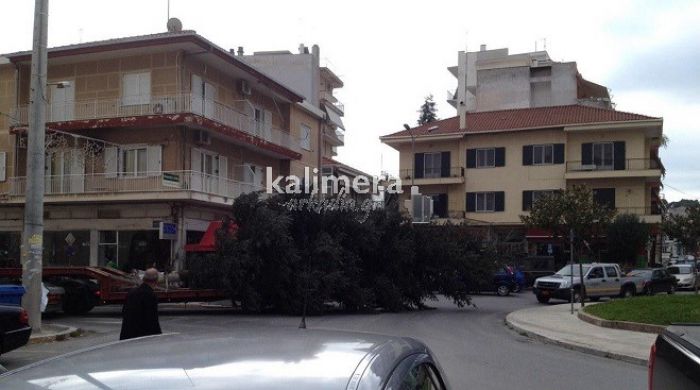 Συμβαίνει τώρα: Έλατο «κυκλοφορεί» με ταχύτητα στην πόλη (εικόνες)