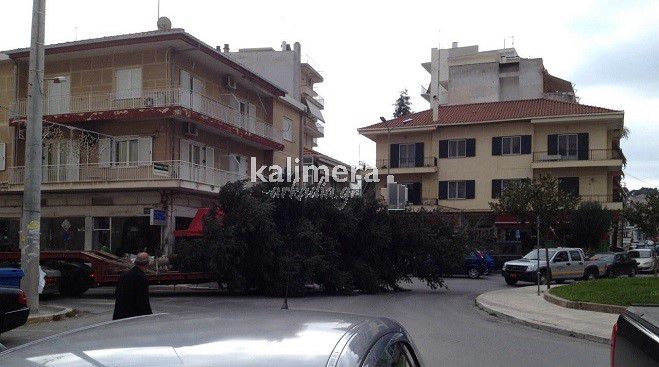 &Sigma;&upsilon;&mu;&beta;&alpha;ί&nu;&epsilon;&iota; &tau;ώ&rho;&alpha;: Έ&lambda;&alpha;&tau;&omicron; &laquo;&kappa;&upsilon;&kappa;&lambda;&omicron;&phi;&omicron;&rho;&epsilon;ί&raquo; &mu;&epsilon; &tau;&alpha;&chi;ύ&tau;&eta;&tau;&alpha; &sigma;&tau;&eta;&nu; &pi;ό&lambda;&eta;  (&epsilon;&iota;&kappa;ό&nu;&epsilon;&sigmaf;)