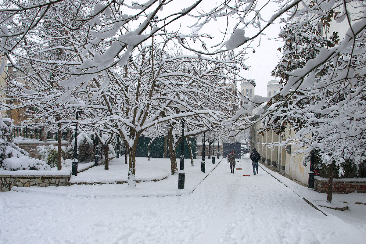 &Tau;&sigma;&omicron;&upsilon;&chi;&tau;&epsilon;&rho;ό &kappa;&rho;ύ&omicron;, &kappa;&alpha;&tau;&alpha;&iota;&gamma;ί&delta;&epsilon;&sigmaf; &kappa;&alpha;&iota; &chi;&iota;ό&nu;&iota;&alpha; &sigma;&tau;&alpha; &omicron;&rho;&epsilon;&iota;&nu;ά &alpha;&pi;ό &alpha;ύ&rho;&iota;&omicron; &sigma;&tau;&eta;&nu; &Alpha;&rho;&kappa;&alpha;&delta;ί&alpha;!