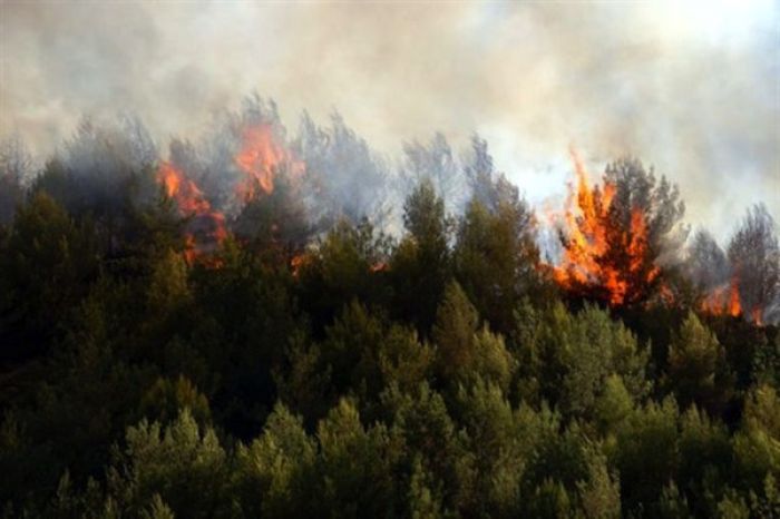 Πυρκαγιά βρίσκεται σε εξέλιξη κοντά στο Μαρί Κυνουρίας