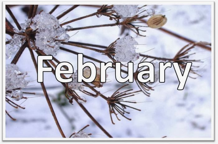 Γιατί ο Φεβρουάριος έχει μόνο 28 ημέρες;