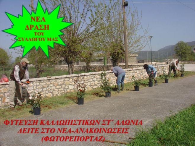 Τα νέα του Μορφωτικού Συλλόγου Ζώνης Αρκαδίας