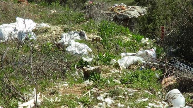 &Sigma;&kappa;&omicron;&upsilon;&pi;ί&delta;&iota;&alpha; &sigma;&tau;&omicron;&upsilon;&sigmaf; &delta;&rho;ό&mu;&omicron;&upsilon;&sigmaf; &kappa;&alpha;&iota; &kappa;&alpha;&tau;&epsilon;&sigma;&tau;&rho;&alpha;&mu;&mu;έ&nu;&epsilon;&sigmaf; &pi;&iota;&nu;&alpha;&kappa;ί&delta;&epsilon;&sigmaf; &sigma;&epsilon; &pi;&omicron;&lambda;&lambda;ά &sigma;&eta;&mu;&epsilon;ί&alpha; &tau;&eta;&sigmaf; &Alpha;&rho;&kappa;&alpha;&delta;ί&alpha;&sigmaf;